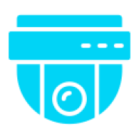 დომ კამერები