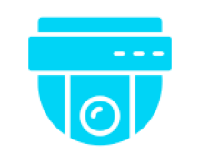 დომ კამერები