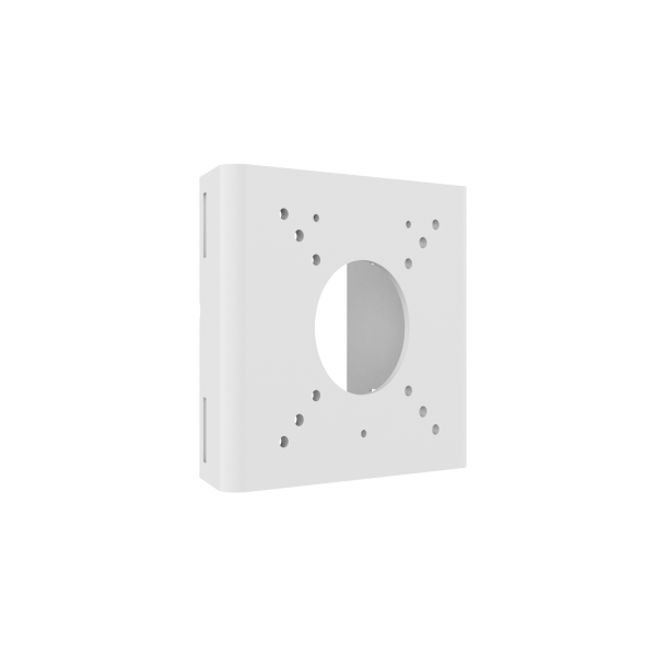 Bullet camera pole mount